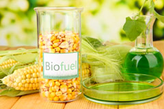 Jordan Green biofuel availability